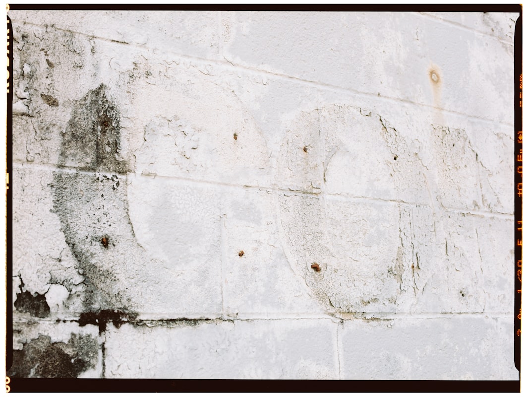 Water Extraction service in Berkeley, CA