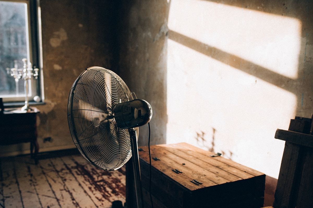 Mold Remediation service in Berkeley, CA