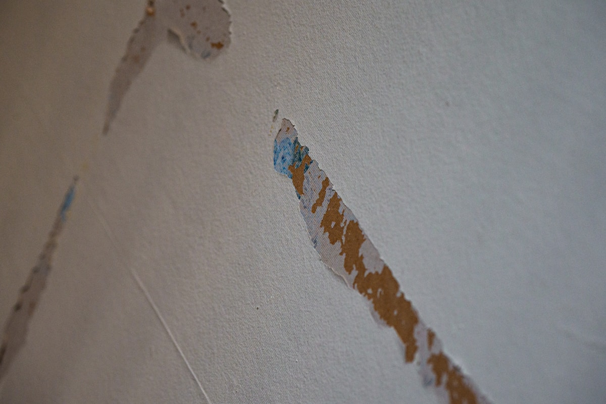 Storm Damage Repair service in Berkeley, CA